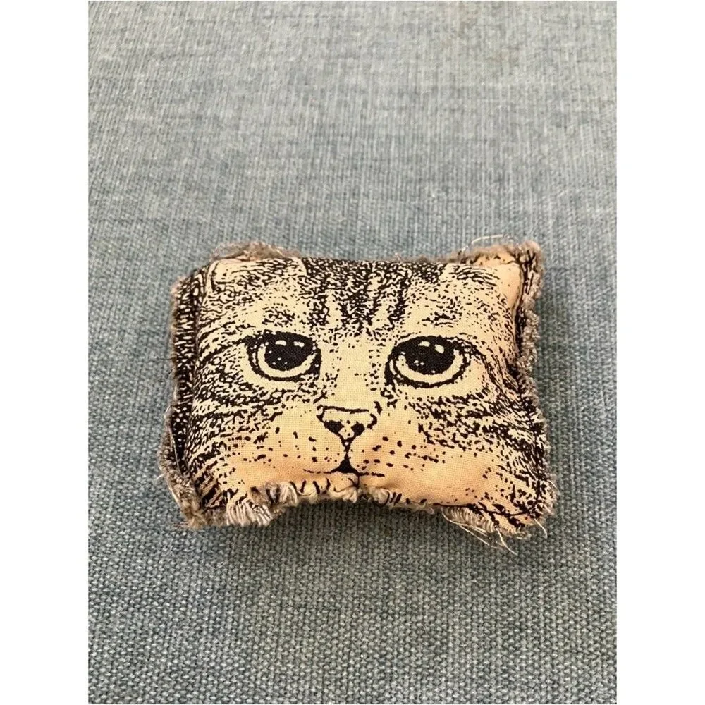 Gently Used Cat Toy